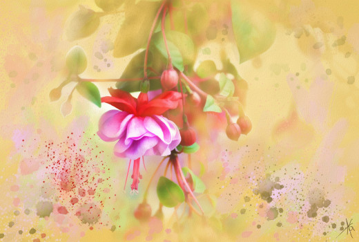 1183036 (a): :4191x2813